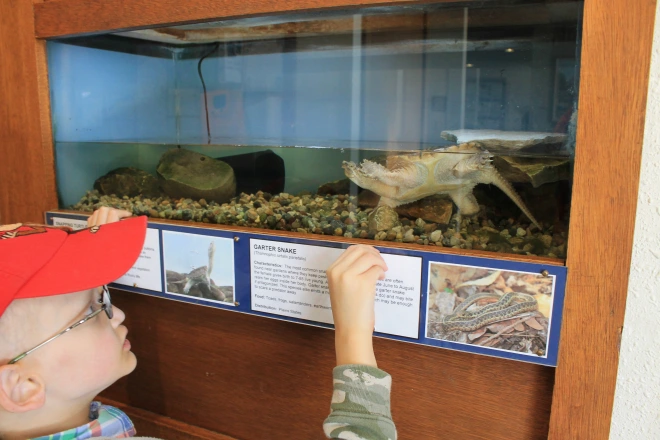 Visitors can get up close to several varieties of reptiles, amphibian and fish in the Center's aquarium display